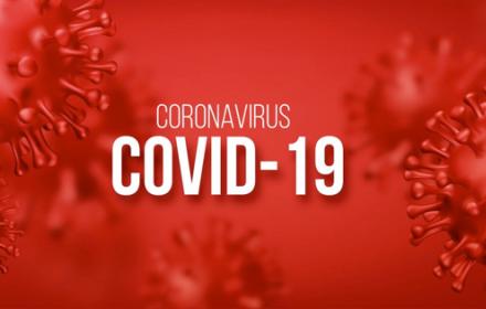 Immagine Covid-19