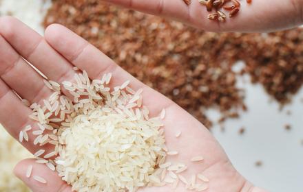 Celiachia grano riso orzo celiaci