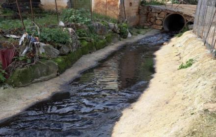 Corpo forestale controlli sversamento olio