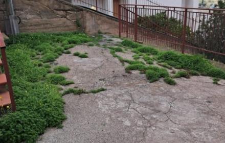 Santa Stefano di Camastra