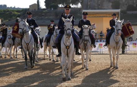 Cavallo