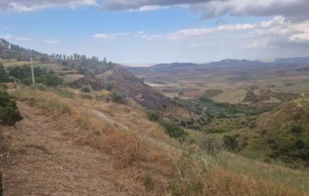  area archeologica Morgantina 