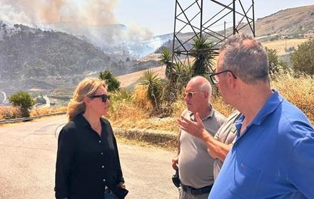Giusi Savarino incendi roghi