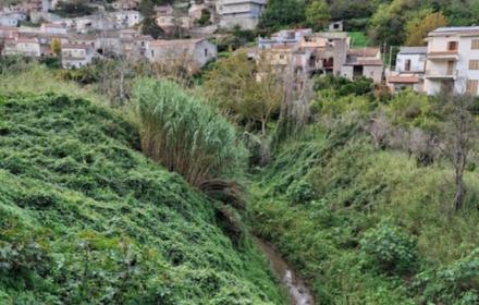 Canalicchio