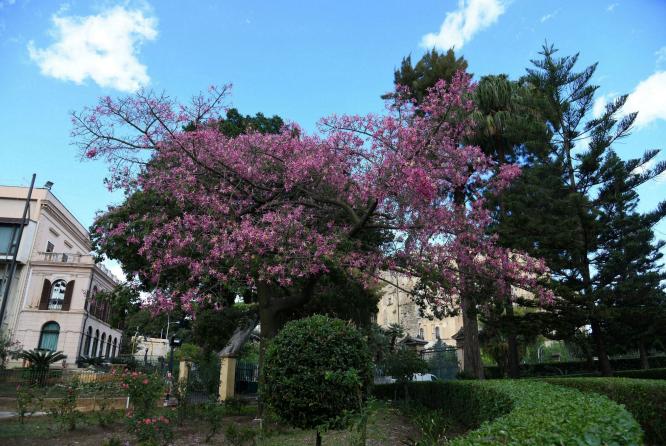 parco 4